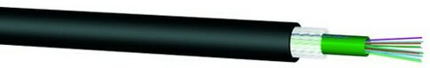 Cat5E Panel