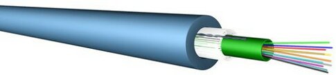 Cat6 Dosen