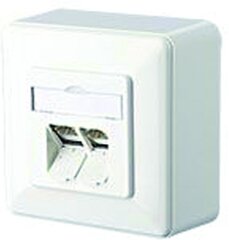 Cat3 (TAE+UAE) Panel