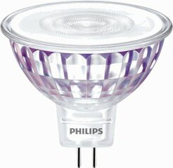 LED Leuchtmittel