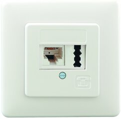 Cat6 Dosen