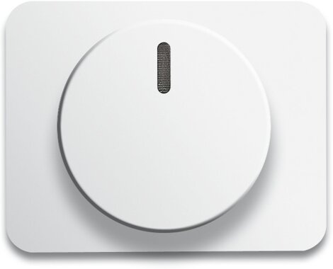 Busch-Jaeger Zentralscheibe 6540-24G | 6599-0-2324 Busch-Jaeger Zentralscheibe 6540-24G | 6599-0-2324