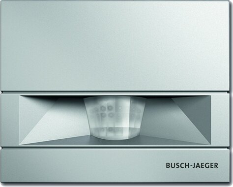 Busch-Jaeger Busch-Wchter 110 MasterLINE 6855 AGM-208 | 6800-0-2608