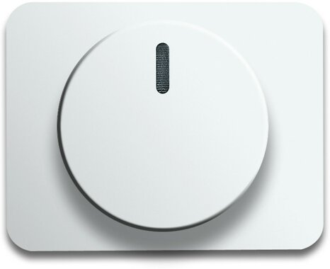 Busch-Jaeger Zentralscheibe 6540-24G | 6599-0-2324 Busch-Jaeger Zentralscheibe 6540-24G | 6599-0-2324