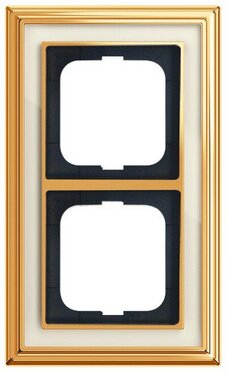 Busch-Jaeger Abdeckrahmen 1722-838 | 1754-0-4634