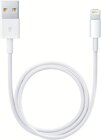 Apple Lightning auf USB Kabel (0,5 m)