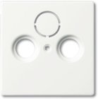 Busch-Jaeger Zentralscheibe 1743-884, studiowei� matt