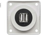 Berker USB-Ladesteckdose 12V zweifach grau-glnzend, Einsatz schwarz