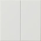 Gira 536203 S3000 Bedienaufs 2f System 55 rws
