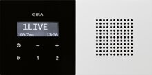 Gira 2280112 Unterputz-Radio RDS Fl�chenschalter