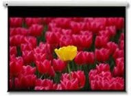 Optoma DE-9120EGA 16:9 120" 266x149cm